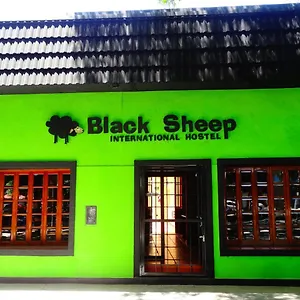 Black Sheep International , Mendoza Argentina